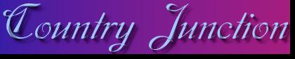 Banner 1